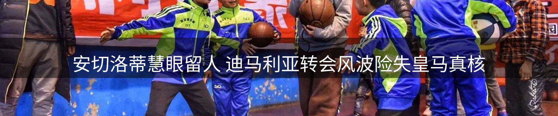 最新动态