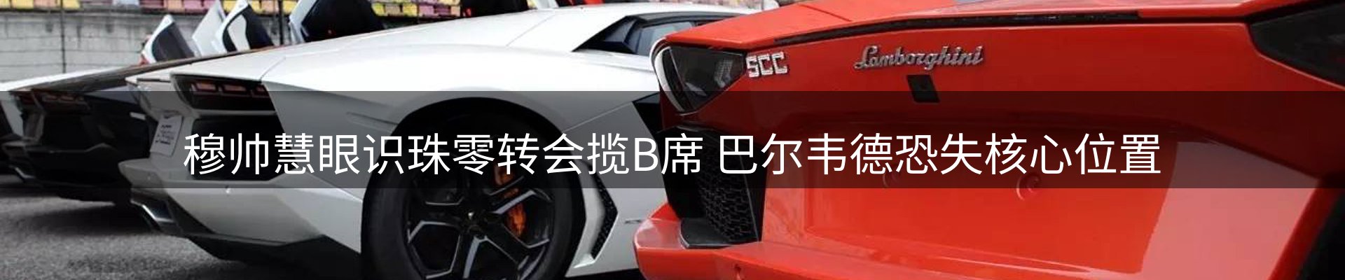 最新动态