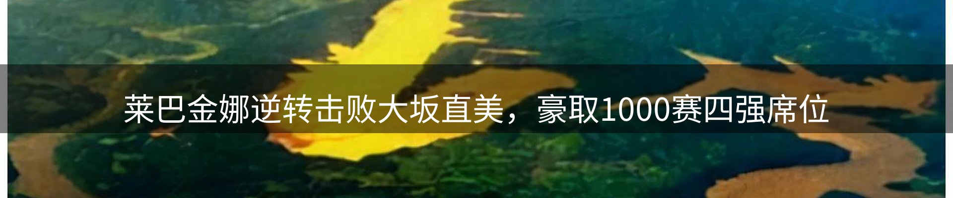 最新动态