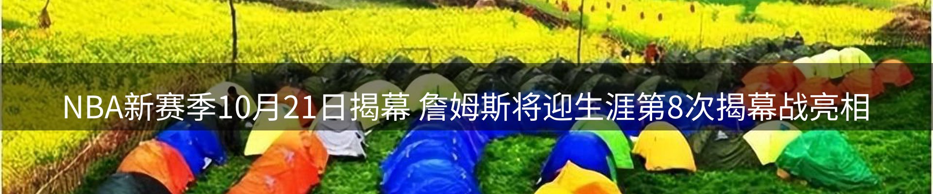 最新动态